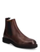 Sneaky Steve Sense Brown Brun