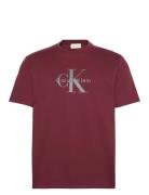 Calvin Klein Jeans Ss Hero Monologo Tee 20S Burgundy