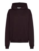 Copenhagen Studios Cph Hoodie 7 Cotton Burgundy Burgundy