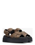 Clarks Evamar Wish D Svart