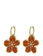 Bud To Rose Calista Enamel Earring Brown/Gold Guld