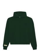 Prohibited Legacy Hoodie Grön