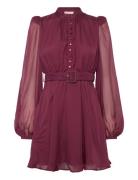 By Ti Mo Organza Mini Dress Burgundy