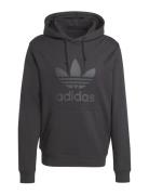 Adidas Originals Trefoil Hoody Svart