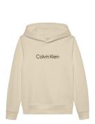 Calvin Klein Inst. Logo Reg. Terry Hoodie Beige