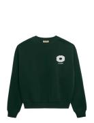 Prohibited Legacy Crew Neck Grön