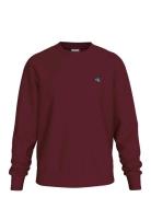 Calvin Klein Jeans Ls Eu 350Terry Badge Cn Swtshrt Burgundy