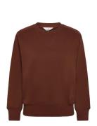 Lee Jeans Raglan Crew Sws Brun