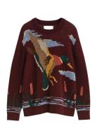 GANT Bird Graphic C-Neck Multi/patterned