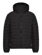 Superdry Hooded Fuji Padded Jacket Svart