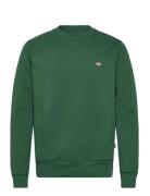 Dickies Oakport Sweatshirt Grön