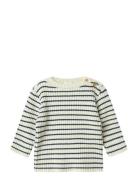 Name It Nbmostripe Ls Knit Kräm
