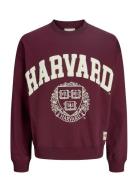 Jack & J S Jorharvard Sweat C.n Styd Ss25 Burgundy