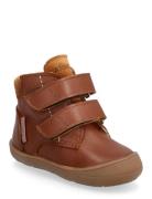 ANGULUS Boots - Flat - With Velcro Brun