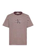 Calvin Klein Jeans Ss 20S Stripe Jersey Monologo Cn Burgundy