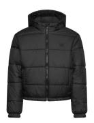 VANS Mte Hillgate Puffer By Svart