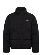 Dickies M Summerdale Puffer Svart