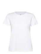 JBS Of Denmark Jbs Of Dk Basic Tee. Vit