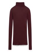 American Vintage Massachusetts Burgundy