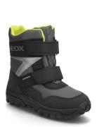 GEOX J Himalaya Boy B Abx Grå