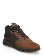 GEOX U Aerantis 4X4 B Abx Brun
