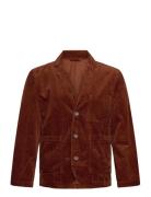 Lindbergh Seersucker Corduroy Casual Blazer Brun