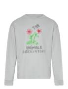 THE ANIMALS OBSERVATORY Flowers Blue Dof Lonf Sleeve T-Shirt Grå