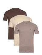 AllSaints Brace Ss Crew 3 Pk Brun