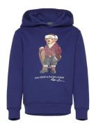 Ralph Lauren Kids Graphic Fleece-Knt-Sweatshirt Blå