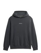 Superdry Micro Logo Hood Grå