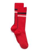 THE ANIMALS OBSERVATORY Red Skunk Socks Röd