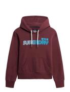 Superdry Faded Core Hood Burgundy