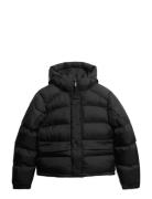 Superdry Sport Hooded Tech Padded Jkt Svart