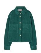 THE ANIMALS OBSERVATORY Freen Beabull Shirt Grön