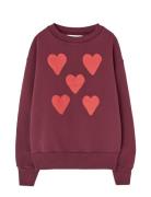 THE ANIMALS OBSERVATORY Hearts Browned Farnet Bear Sweatshirt Burgundy