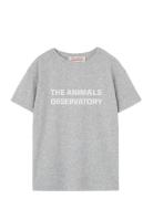 THE ANIMALS OBSERVATORY Frey Orion T-Shirt Grå