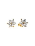 Pandora Herbarium Cluster 14K Gold-Plated Stud Earrings With Clear Cub...