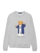 Polo Ralph Lauren Polo Bear Fleece Crewneck Grå