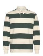 Solid Sdsherman Kräm