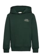 GANT Graphic Hoodie Grön