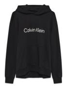 Calvin Klein Ls Eu Standard Logo 350Terry Po Svart