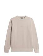 Superdry Micro Logo Crew Beige