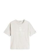 Tommy Hilfiger Varsity Crest Rlx Ss Tee Grå