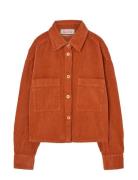 THE ANIMALS OBSERVATORY Fif Red Beabull Shirt Orange