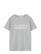 THE ANIMALS OBSERVATORY Frey Orion T-Shirt Grå
