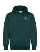 PUMA Puma Class Graphic Hoodie Fl Grön