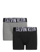 Calvin Klein 2Pk Trunk Multi/patterned