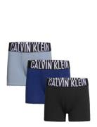 Calvin Klein 3Pk Trunk Multi/patterned