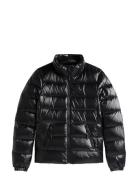 Tommy Jeans Tjw Slim Zip Print Down Jacket Svart