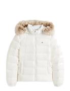 Tommy Jeans Tjw Basic Hooded Down Jacket Ext Vit